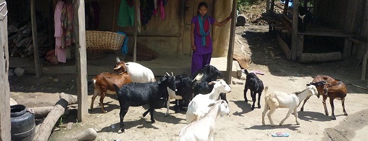 Around the Kathmandu valley Biking Tour