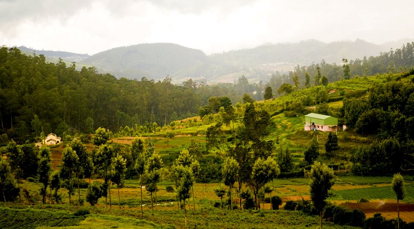 Gems of Nilgiri Tour