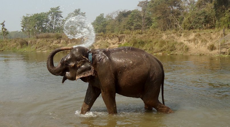 Chitwan National Park