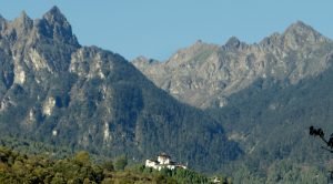 laya-gasa