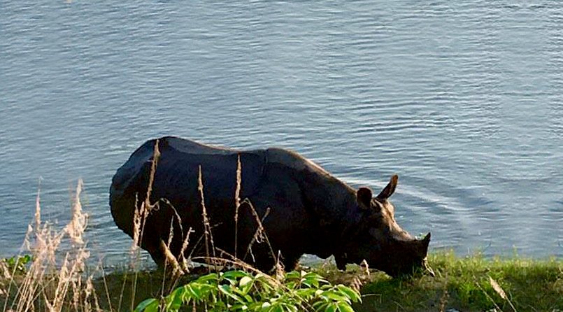 Chitwan