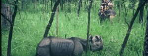 Chitwan Superior Package