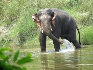 national parks in nepal