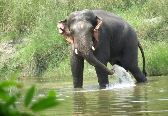 national parks in nepal