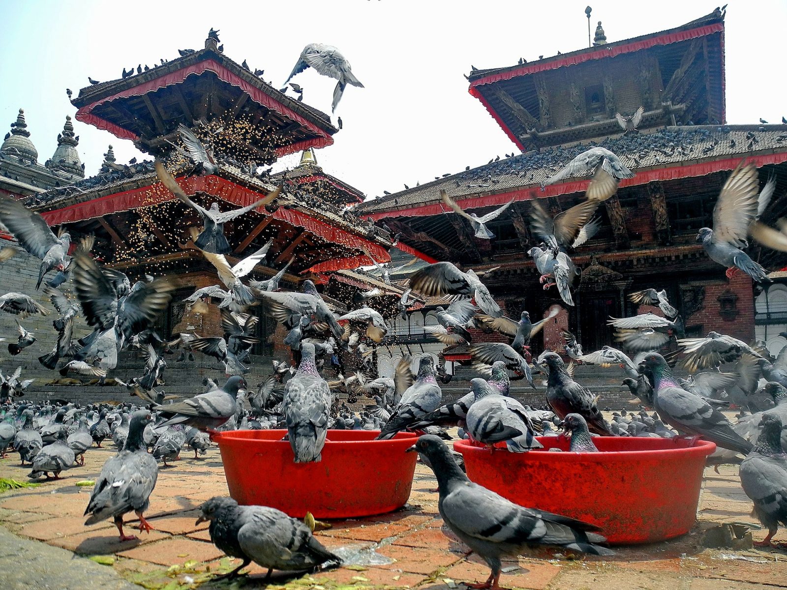 5 interesting ideas to plan your holiday in Kathmandu
