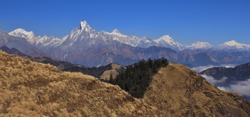 Mohare Danda Trek